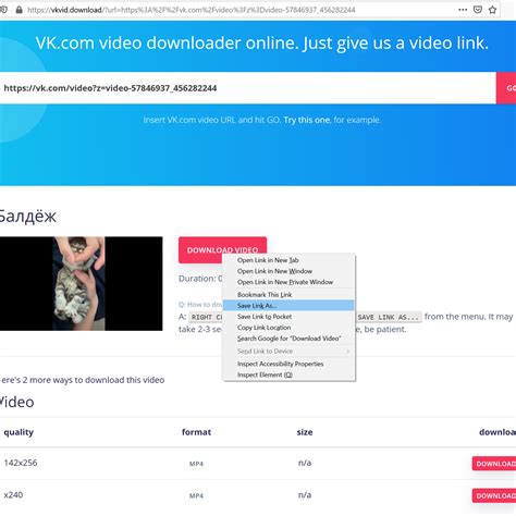 The downloading is very quick and simple, just wait a few seconds for the file to be ready on your device. . Vk video downloader